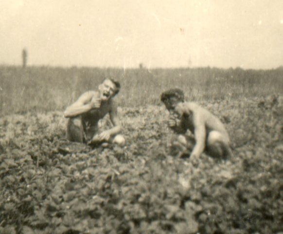 Photograph